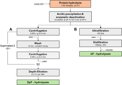 Feasibility of membrane ultrafiltration as a single-step clarification and fractionation of microalgal protein hydrolysates